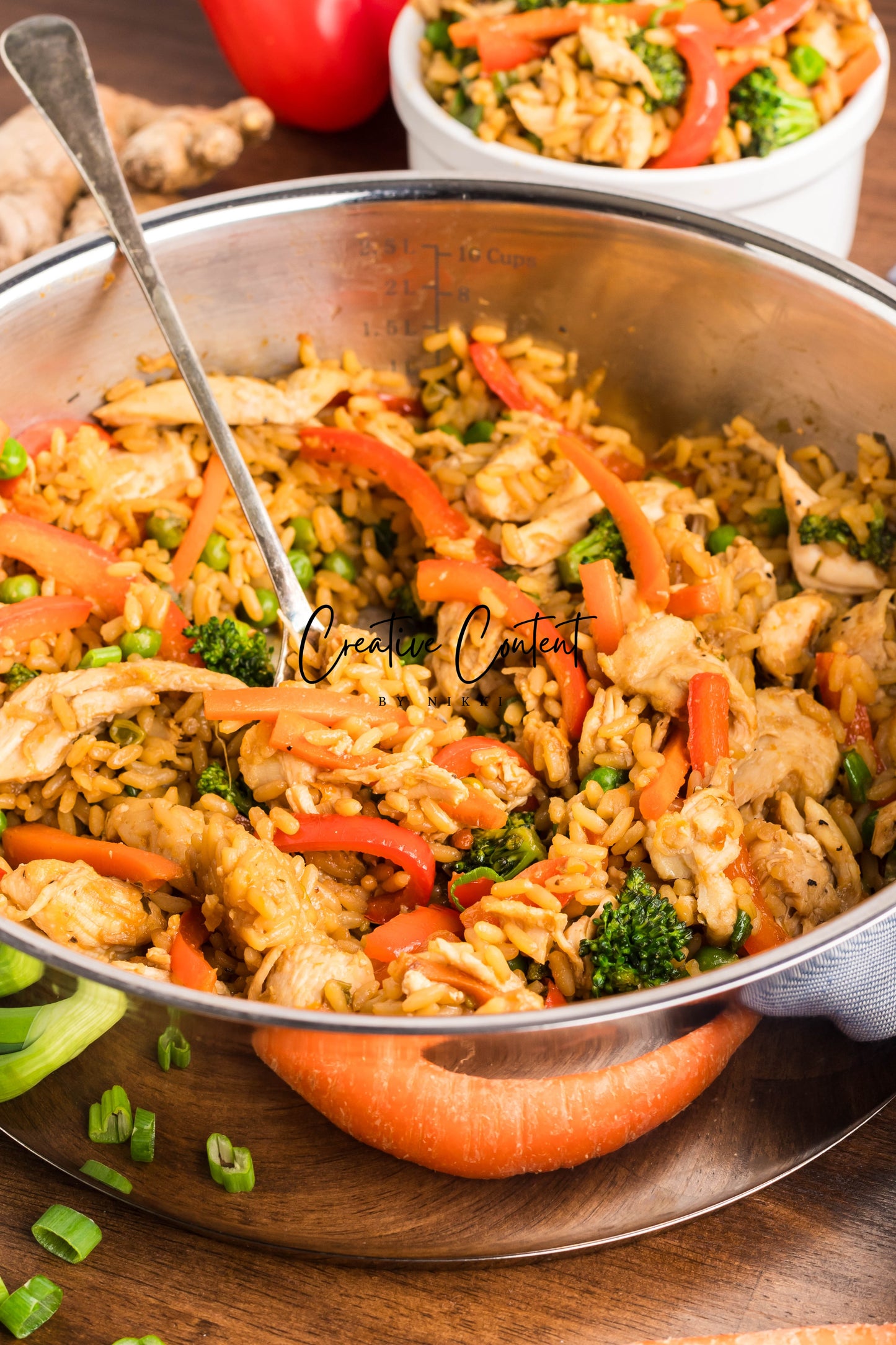 Easy One Pot Teriyaki Chicken and Rice Bowl - Set 2 of 2