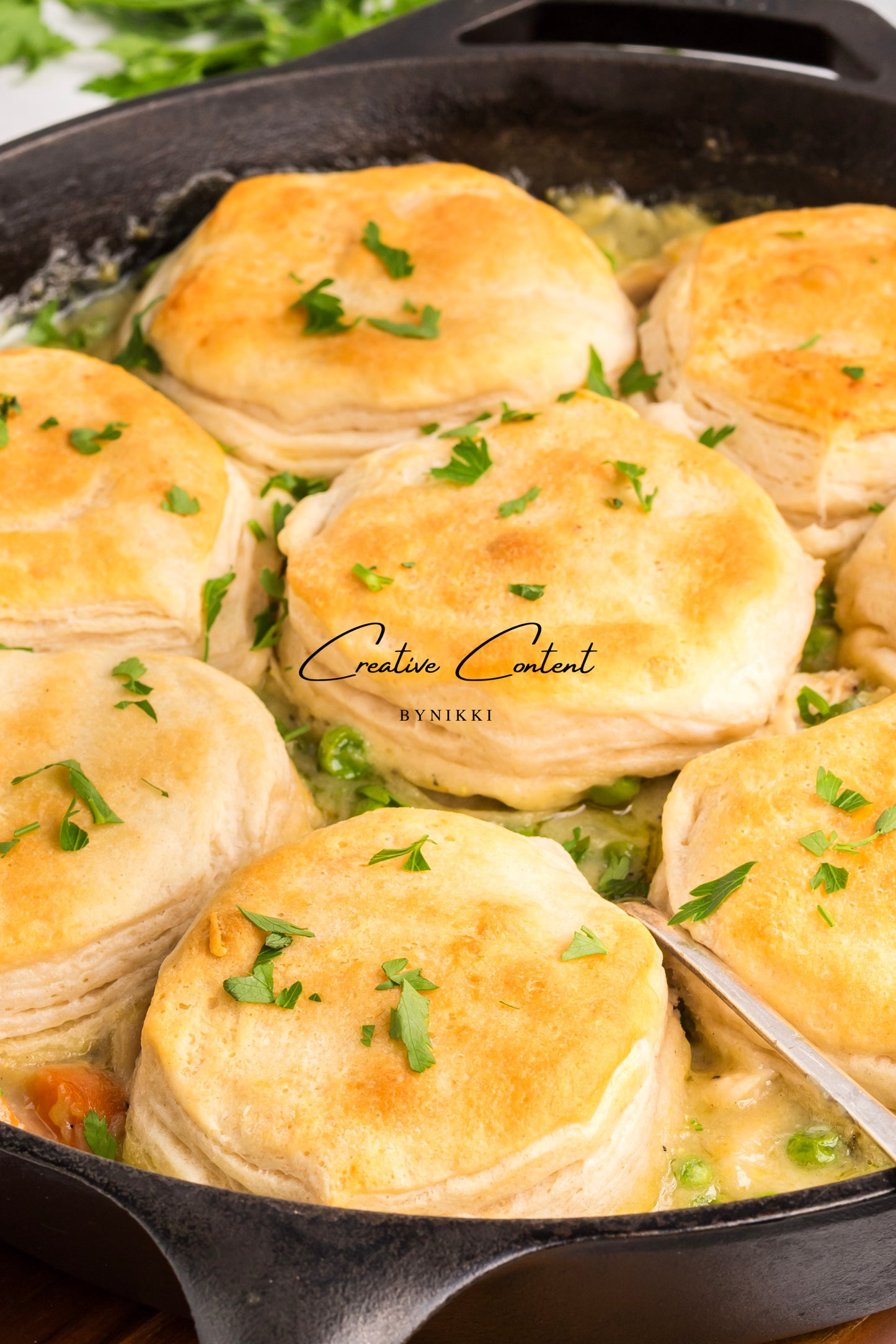 Chicken Pot Pie With Biscuits - Exclusive