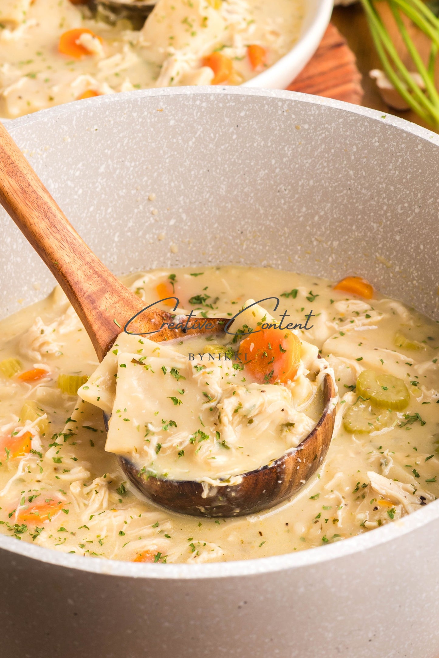 Cracker Barrel Chicken and Dumpling Soup -  Exclusive