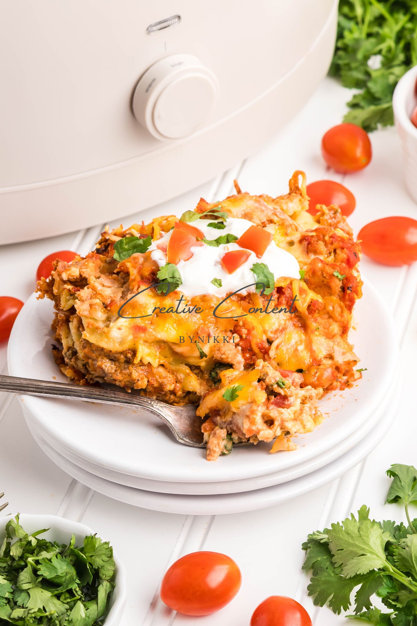 Crock Pot Mexican Lasagna -  Exclusive