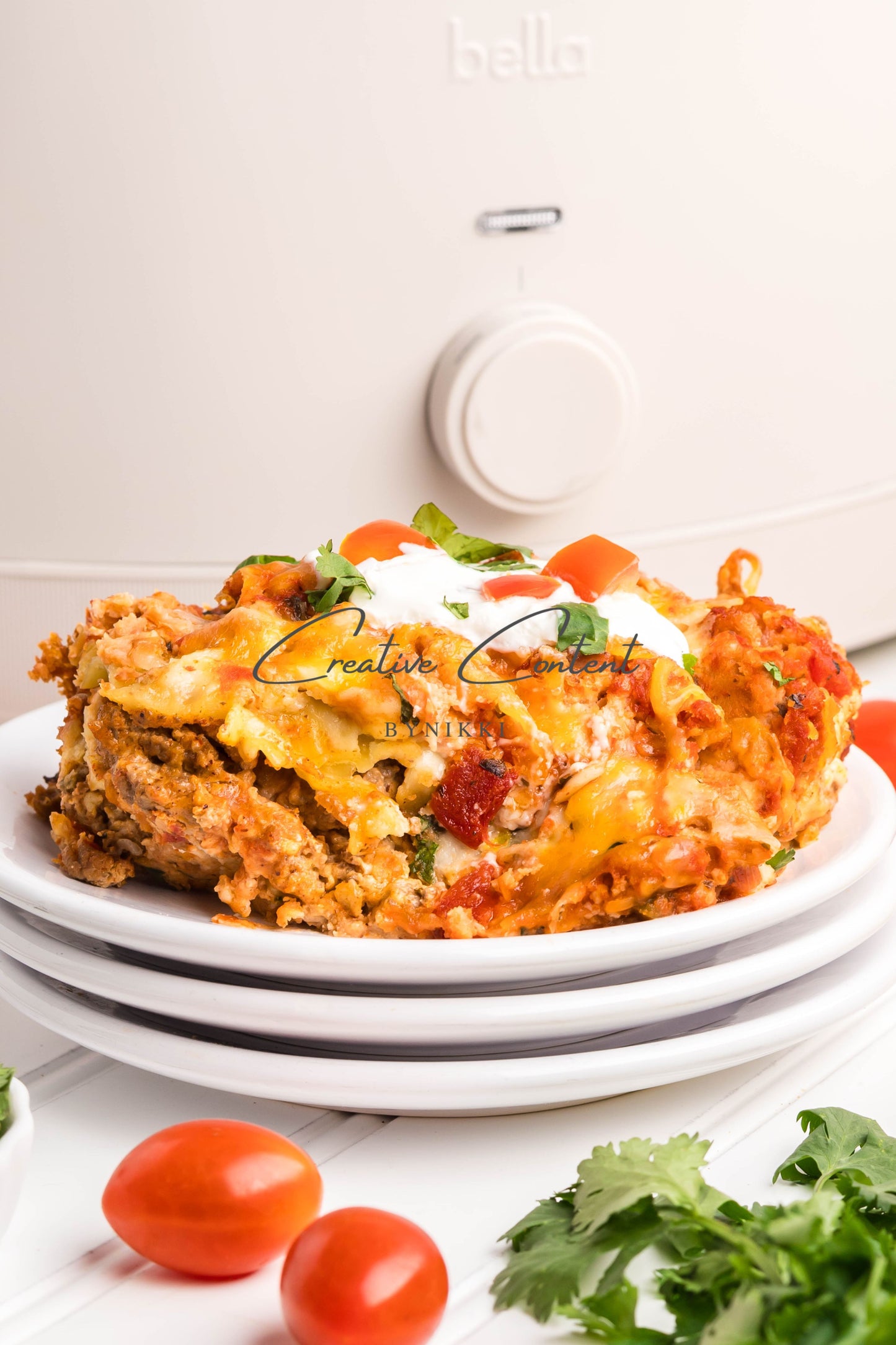 Crock Pot Mexican Lasagna -  Exclusive