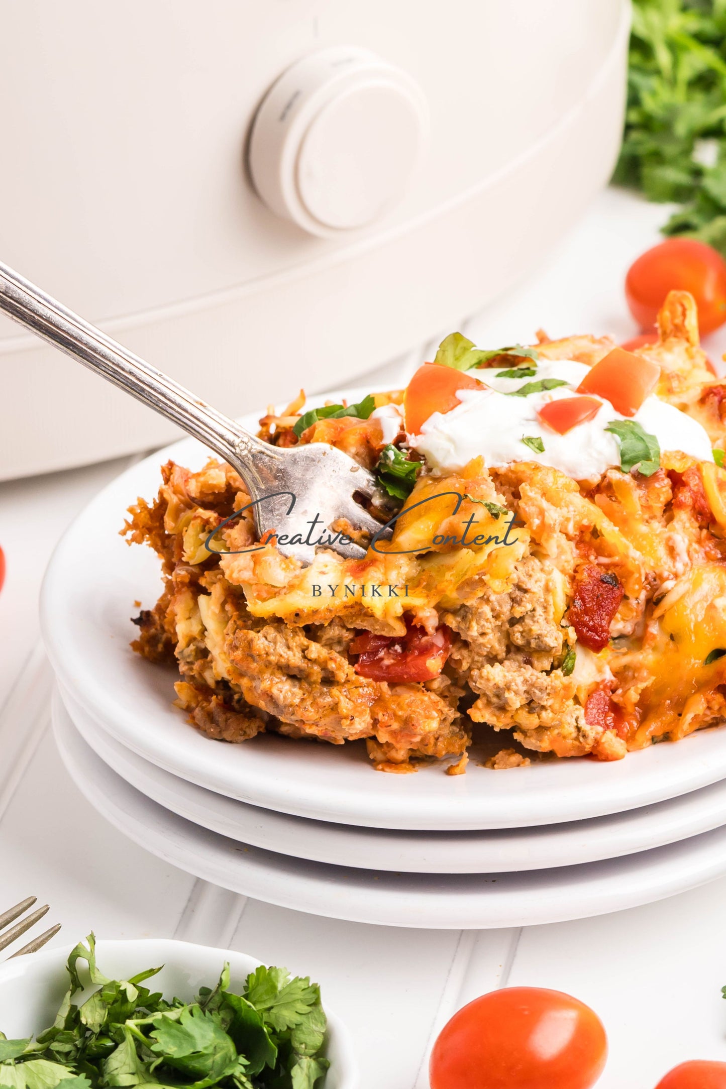 Crock Pot Mexican Lasagna -  Exclusive