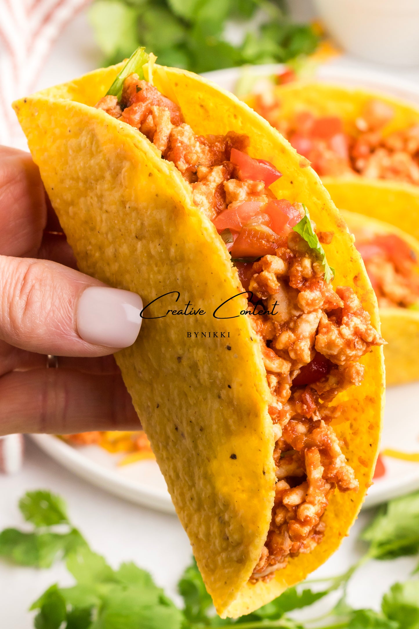 Ground Chicken Tacos  - Mini Exclusive