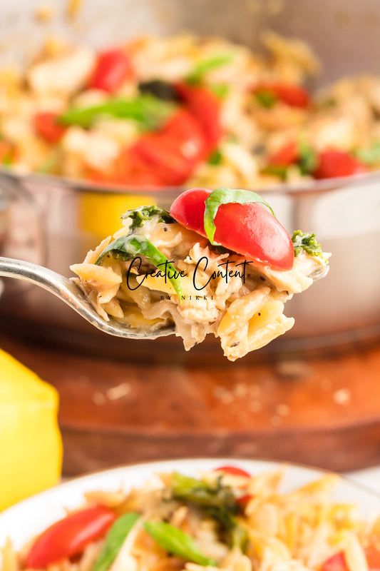 Lemon Chicken Orzo Pasta - Set 1 of 2