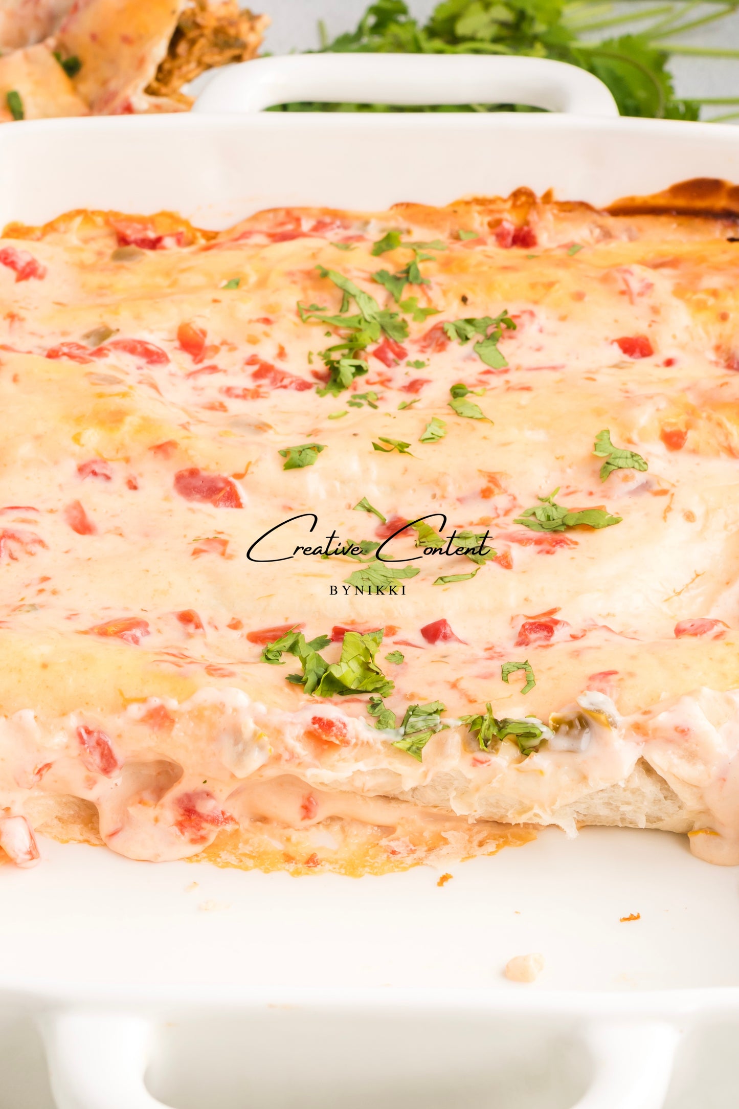 Queso Chicken Enchiladas - Exclusive