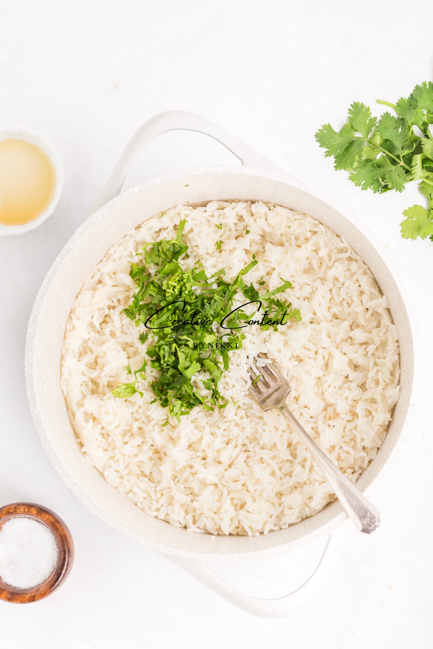 Salmon Salsa Mango + Coconut Rice - Exclusive (2 recipes)