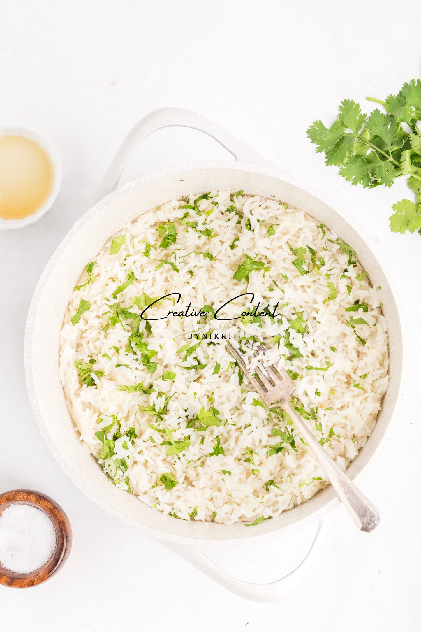 Salmon Salsa Mango + Coconut Rice - Exclusive (2 recipes)