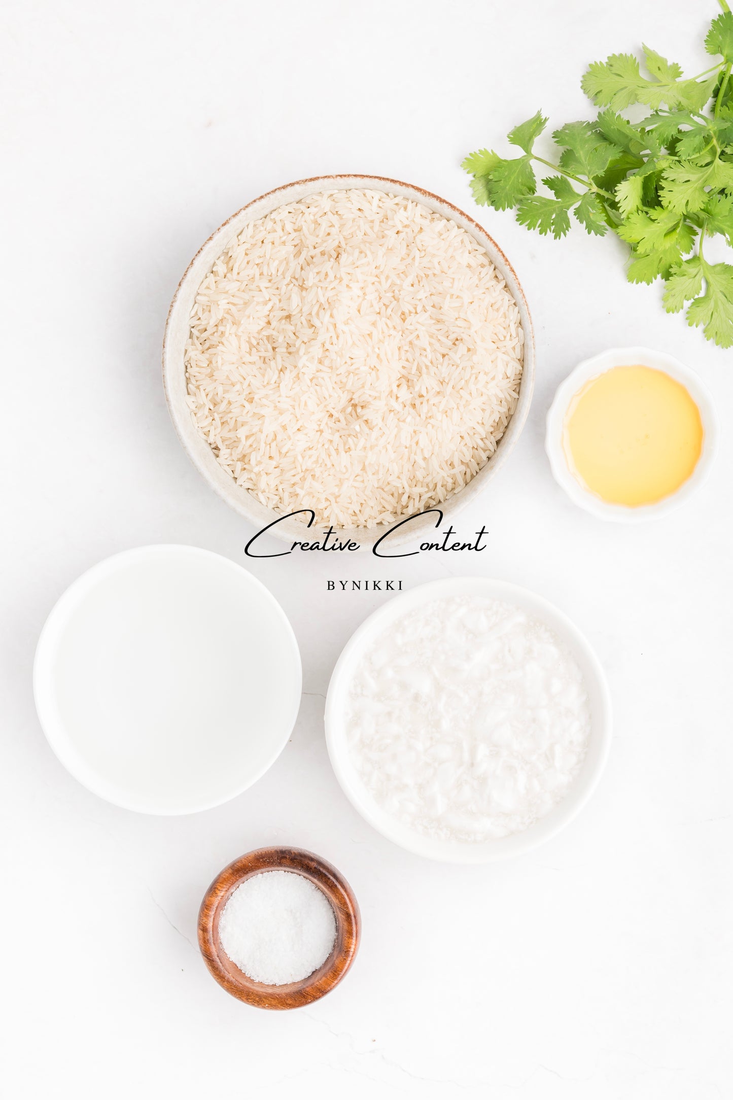 Salmon Salsa Mango + Coconut Rice - Exclusive (2 recipes)