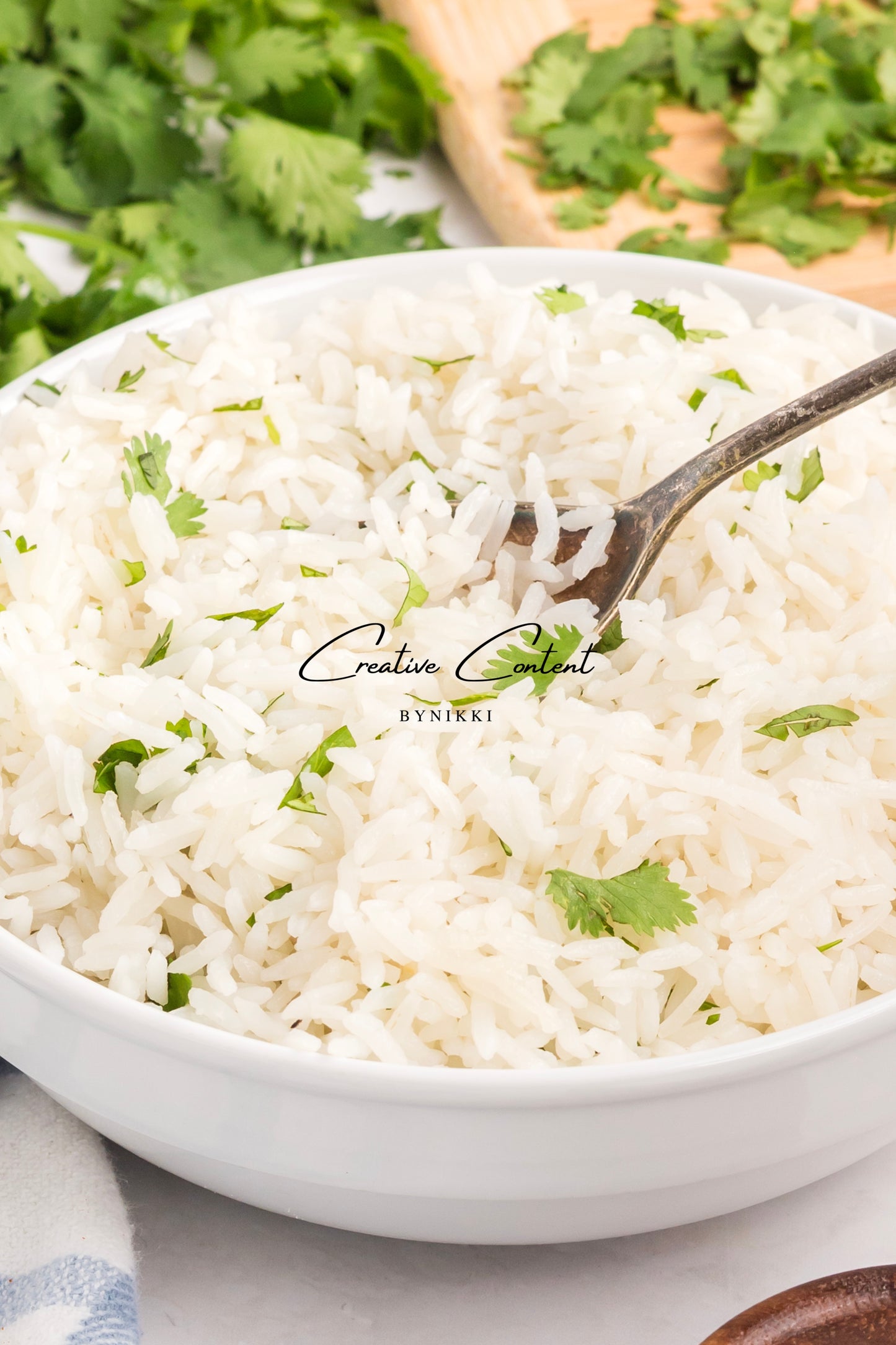 Salmon Salsa Mango + Coconut Rice - Exclusive (2 recipes)