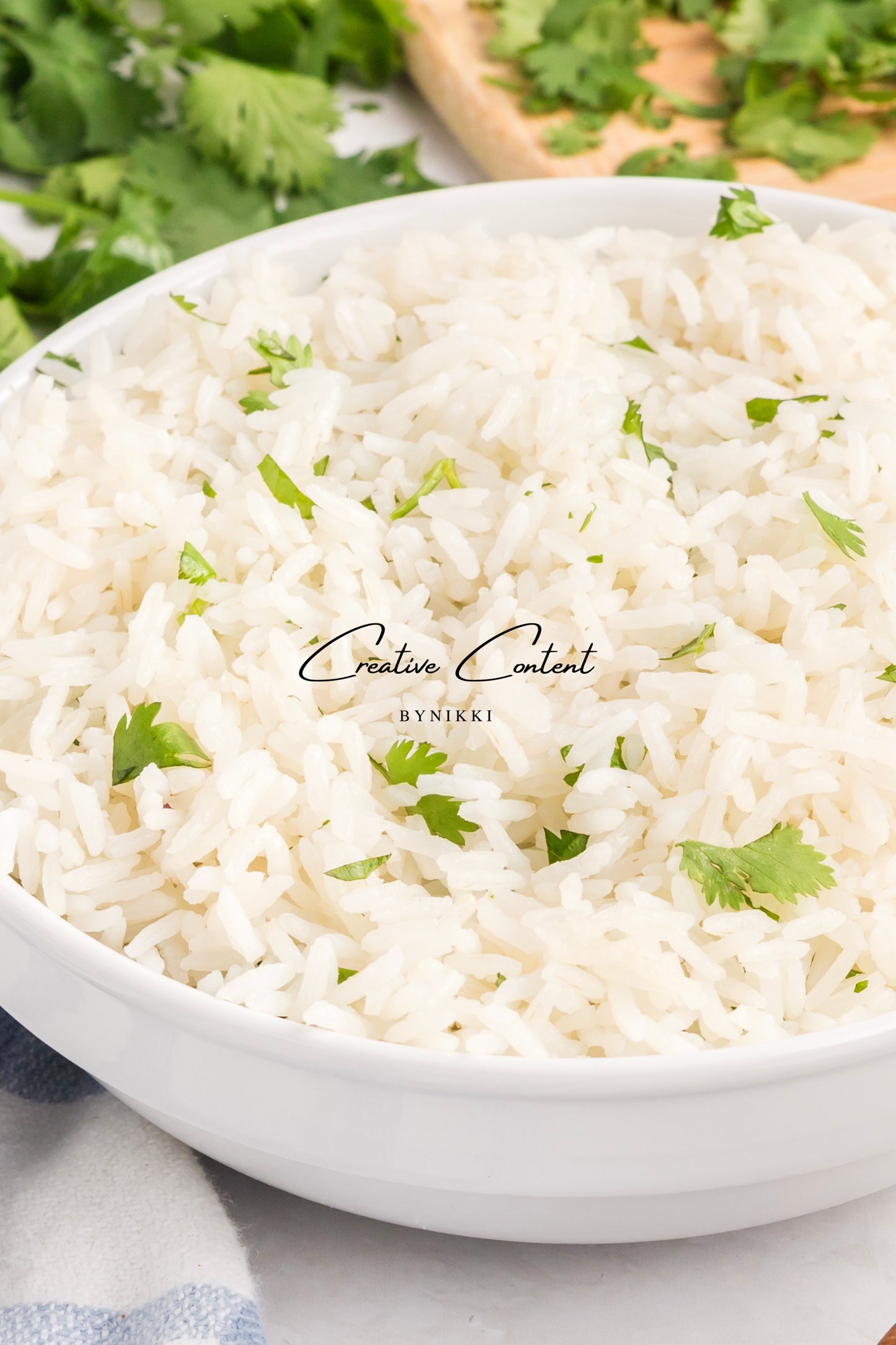 Salmon Salsa Mango + Coconut Rice - Exclusive (2 recipes)