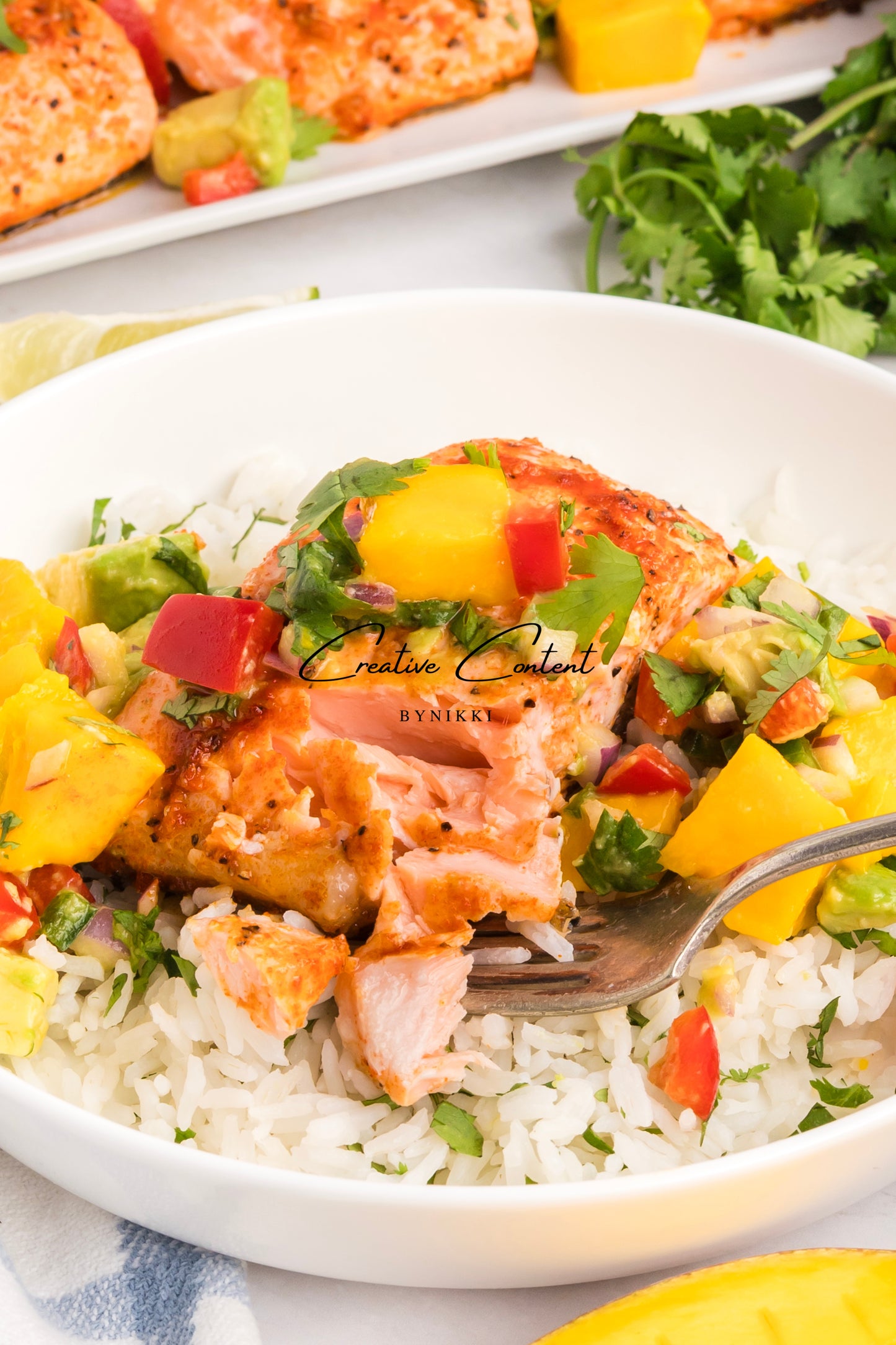 Salmon Salsa Mango + Coconut Rice - Exclusive (2 recipes)