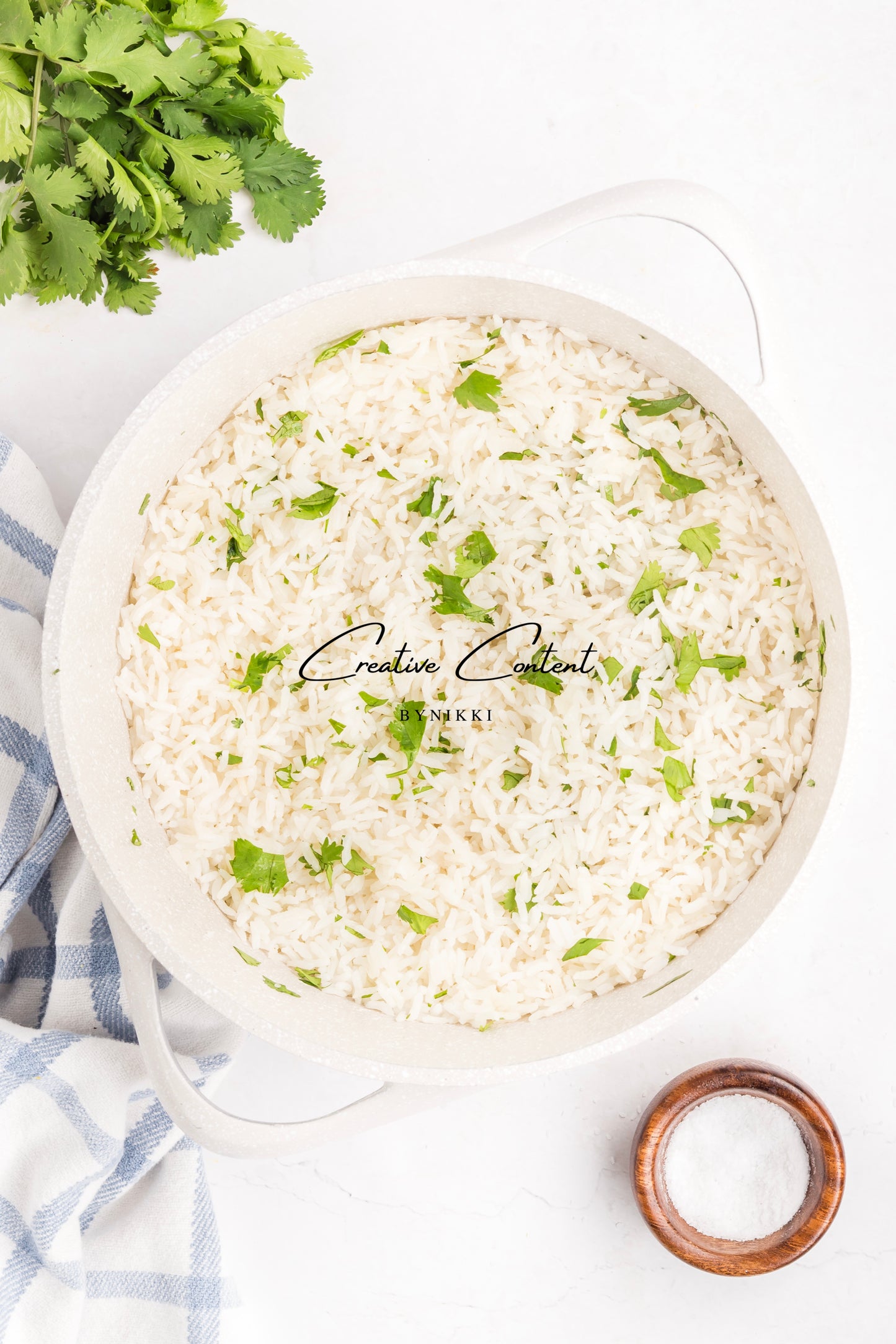 Salmon Salsa Mango + Coconut Rice - Exclusive (2 recipes)