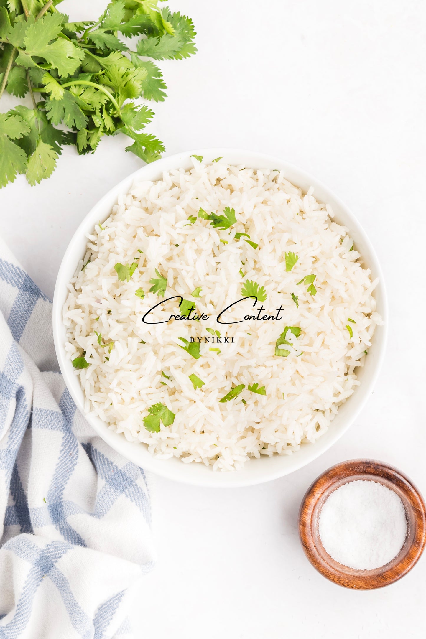 Salmon Salsa Mango + Coconut Rice - Exclusive (2 recipes)