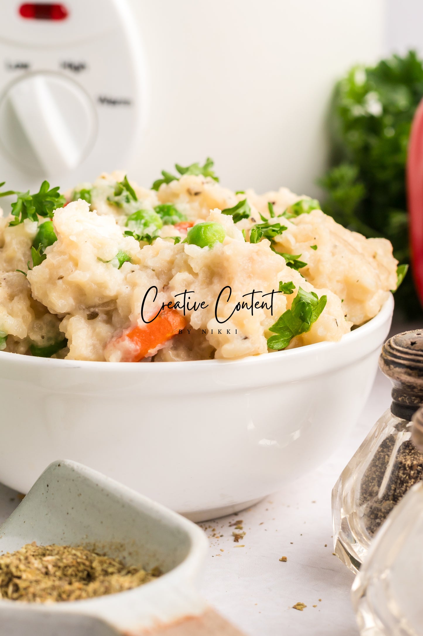 Slow Cooker Chicken and Rice - Exclusive