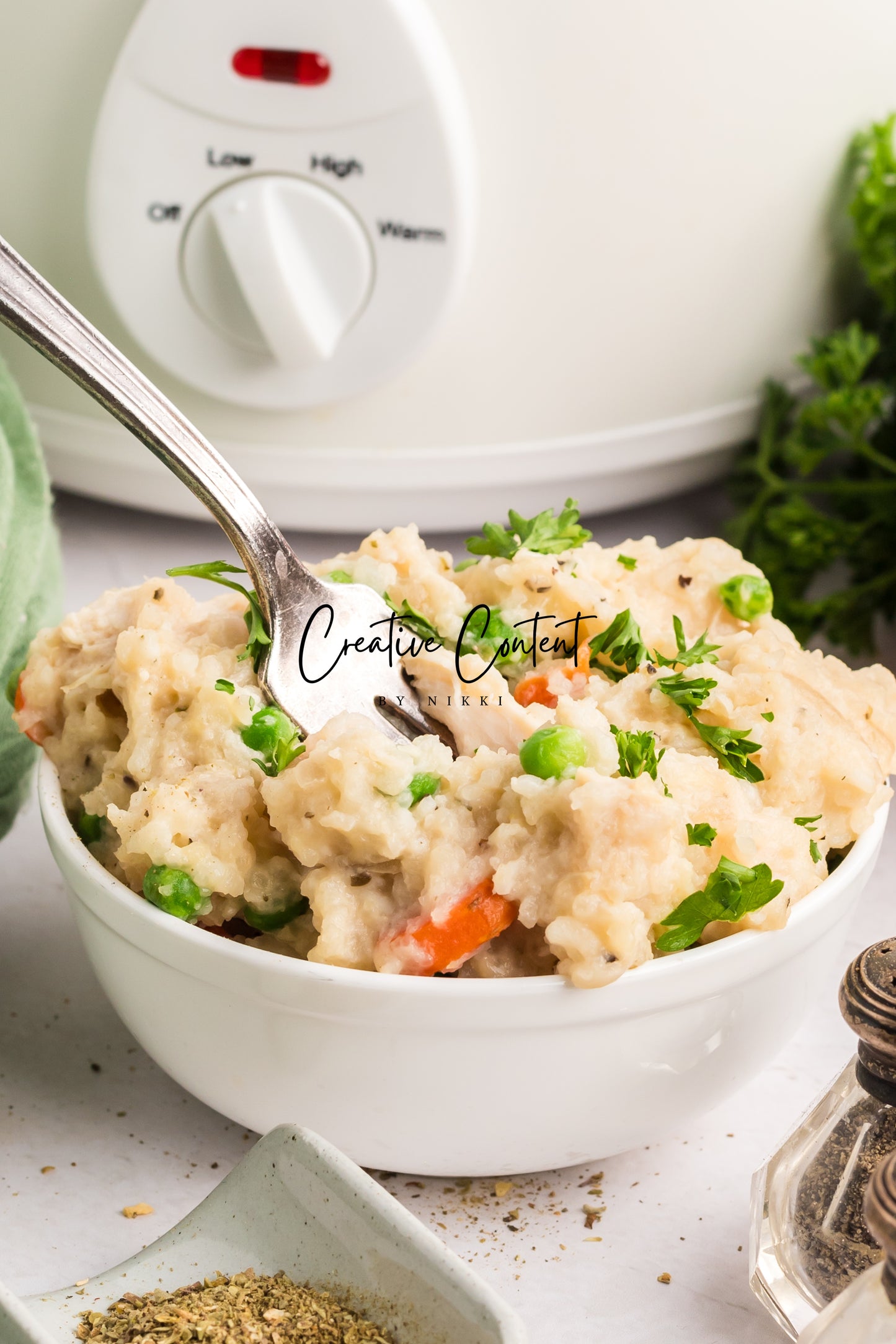 Slow Cooker Chicken and Rice - Exclusive